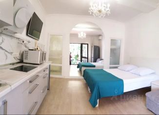 Сдам в аренду квартиру студию, 33 м2, Крым, улица Чехова, 3