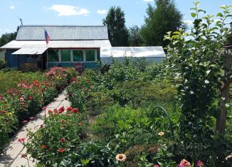 Продаю дом, 50 м2, Новосибирская область, Южная улица, 50