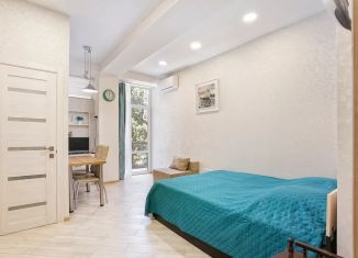 Сдается в аренду квартира студия, 26 м2, Крым, улица Михаила Баранова, 73