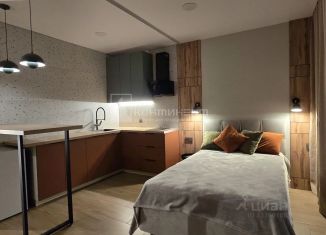 Продаю квартиру студию, 25.8 м2, Владимирская область, улица Строителей, 39/3