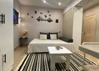 Аренда 1-комнатной квартиры, 20 м2, Чита, микрорайон Девичья Сопка, 46