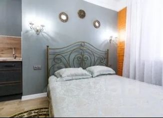 Однокомнатная квартира в аренду, 30 м2, Благовещенск, улица Ленина, 148