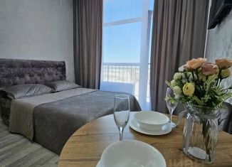 Квартира в аренду студия, 21 м2, Курган, 18-й микрорайон, 7