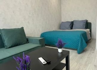 Сдается 1-комнатная квартира, 37 м2, Владимирская область, улица Строителей, 41/1