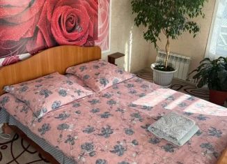 Сдача в аренду комнаты, 45 м2, Ленинградская область, Рабоче-Крестьянская улица, 42А