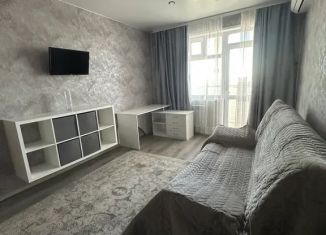 Сдается в аренду однокомнатная квартира, 40 м2, Благовещенск, Новая улица, 11