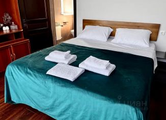Сдам в аренду комнату, 50 м2, Пятигорск, СТ Ротор, 38