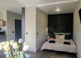 Сдается квартира студия, 30 м2, Чита, улица Ленина