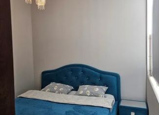 Аренда однокомнатной квартиры, 55 м2, Белгородская область, Садовая улица, 3А