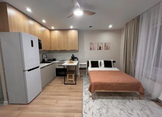 Сдача в аренду квартиры студии, 25 м2, Северодвинск, улица Карла Маркса, 78