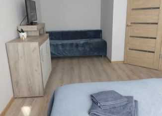 Аренда 1-ком. квартиры, 31 м2, Курган, Солнечный бульвар, 37
