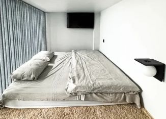 Сдаю в аренду комнату, 28 м2, Татарстан, Московская улица, 36/5