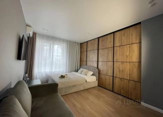 Сдается в аренду 1-ком. квартира, 45 м2, Республика Башкортостан, улица Пархоменко, 156Б