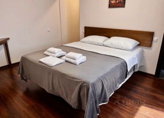 Сдается комната, 25 м2, Ставропольский край, СТ Ротор, 38