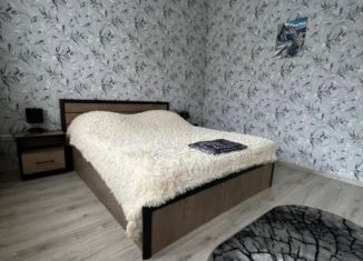 Сдам дом, 60 м2, Ставропольский край, улица Урицкого, 62