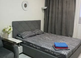 Сдам в аренду 1-ком. квартиру, 43 м2, Белгородская область, улица Щорса, 45Л