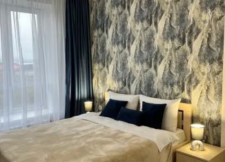 1-ком. квартира в аренду, 40 м2, Кемерово, улица Терешковой, 16А